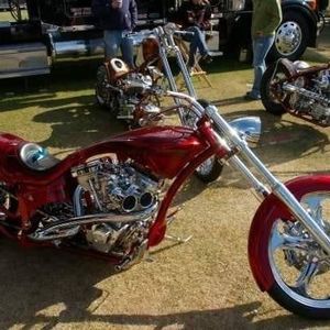 Meet your Posher, Lynn